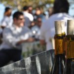 Napa Valley Chardonnay, Truchard Vineyard